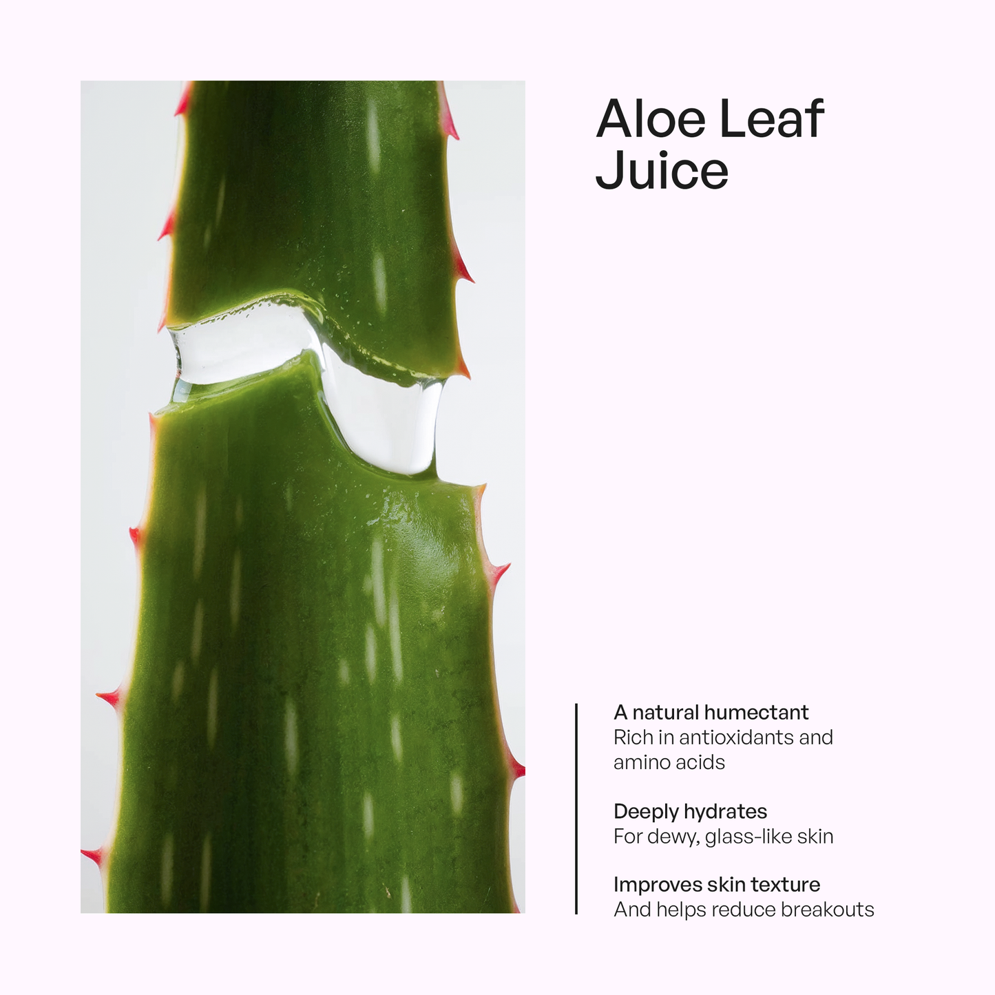 Foaming Oil Cleanser