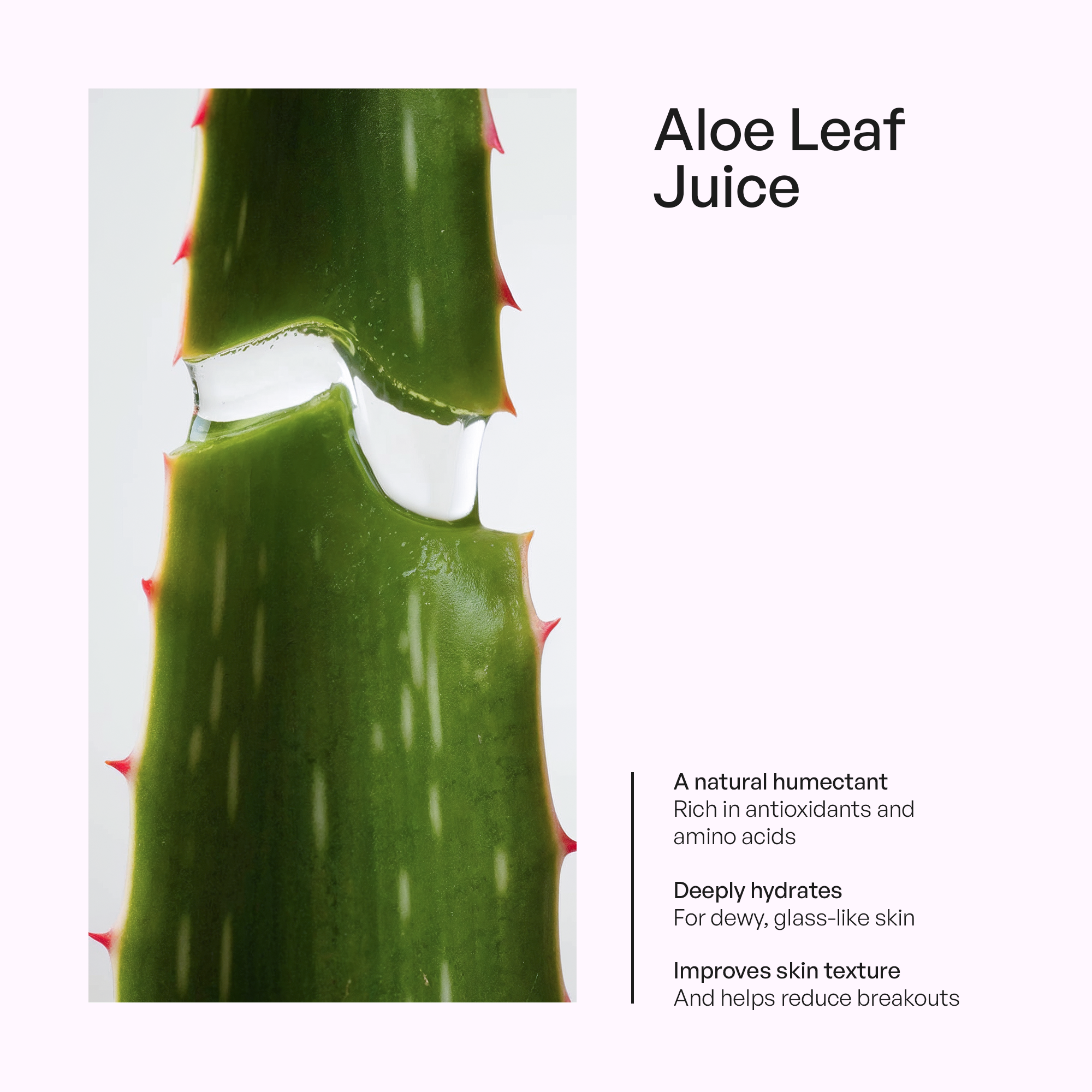 Foaming Oil Cleanser