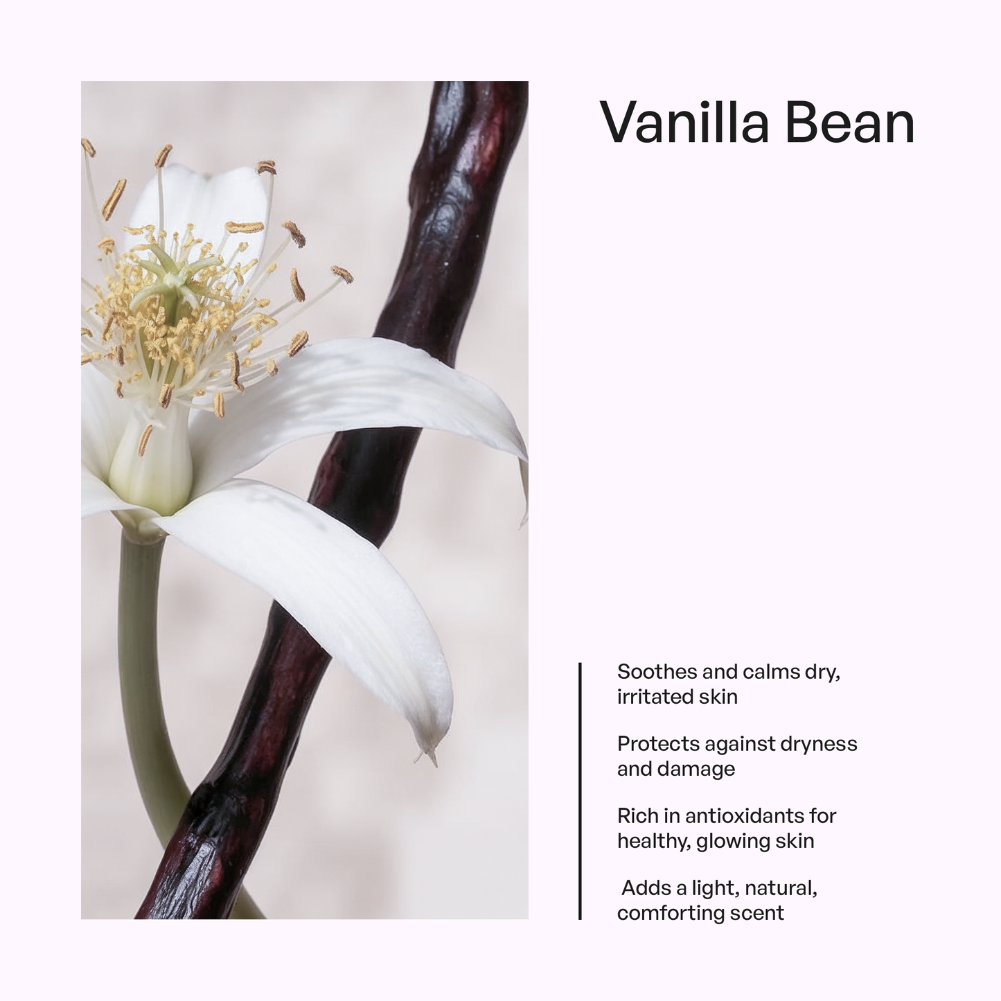 Grass-Fed Whipped Tallow